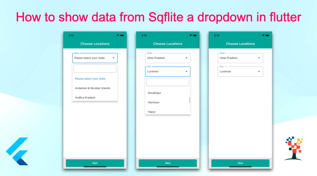 Dropdown List Flutter Example