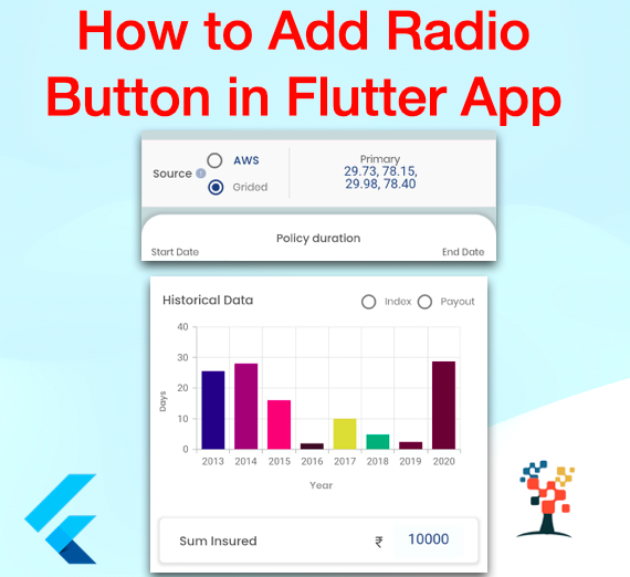 radio button in flutter